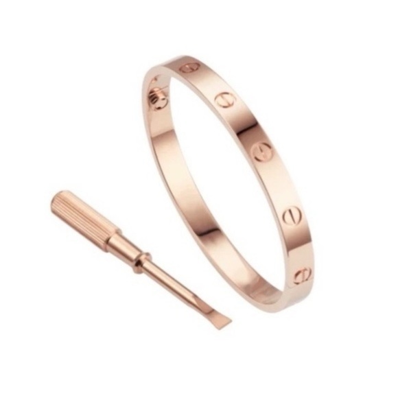NEW Generic Love Bangle Bracelet with Screwdriver in Rose Gold - Picture 1 of 7